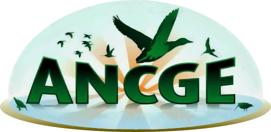 ANCGE logo.png